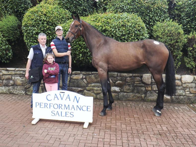 OBOS Quality and Sligo Candy Boy offspring in high demand Premium