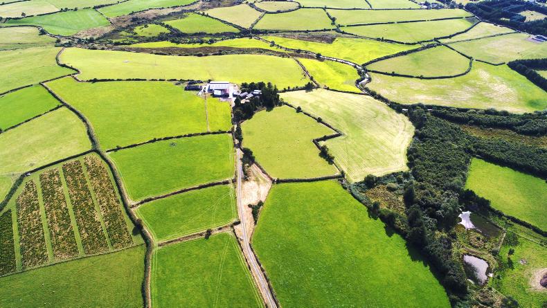 Watch: 114 acres of quality comes to the market in Wicklow Watch: 114 acres of quality comes to the market in Wicklow