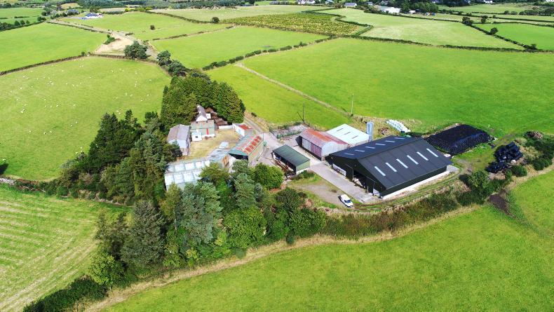 Watch: 114 acres of quality comes to the market in Wicklow Watch: 114 acres of quality comes to the market in Wicklow