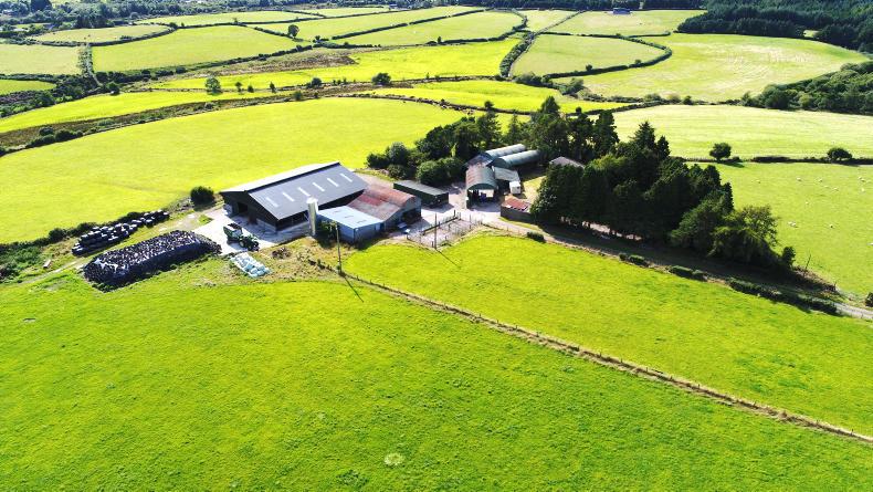 Watch: 114 acres of quality comes to the market in Wicklow Watch: 114 acres of quality comes to the market in Wicklow
