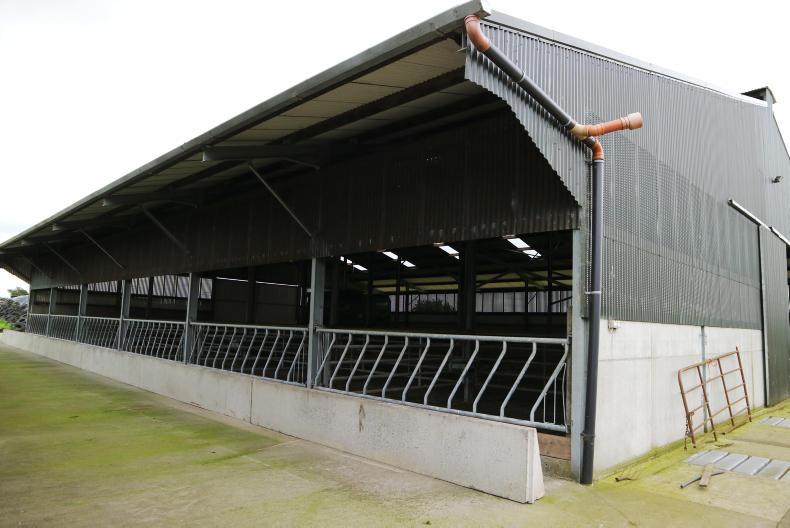 Watch: 114 acres of quality comes to the market in Wicklow Watch: 114 acres of quality comes to the market in Wicklow