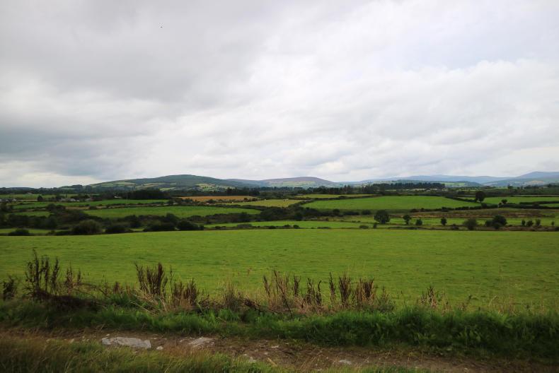 Watch: 114 acres of quality comes to the market in Wicklow Watch: 114 acres of quality comes to the market in Wicklow