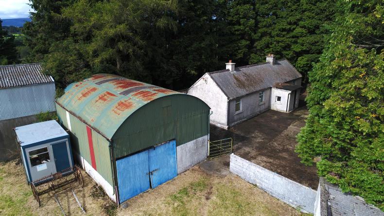 Watch: 114 acres of quality comes to the market in Wicklow Watch: 114 acres of quality comes to the market in Wicklow