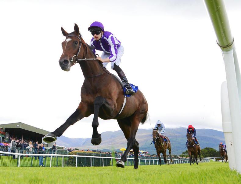 Heart warming success for Elusive Time Heart warming success for Elusive Time