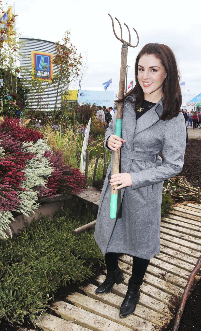 Supermarkets at the Ploughing Supermarkets at the Ploughing