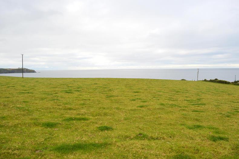 Smaller parcels in Kildare and Cork Smaller parcels in Kildare and Cork