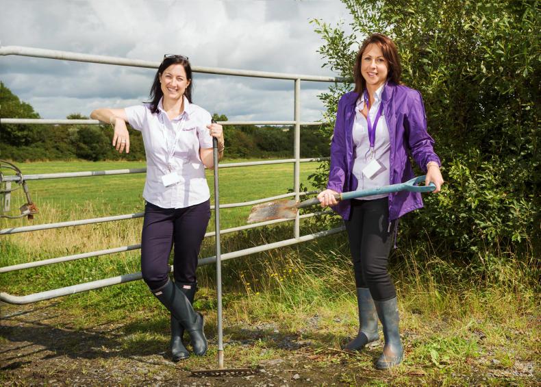 Don’t miss highlights for 2017 Don’t miss highlights for 2017