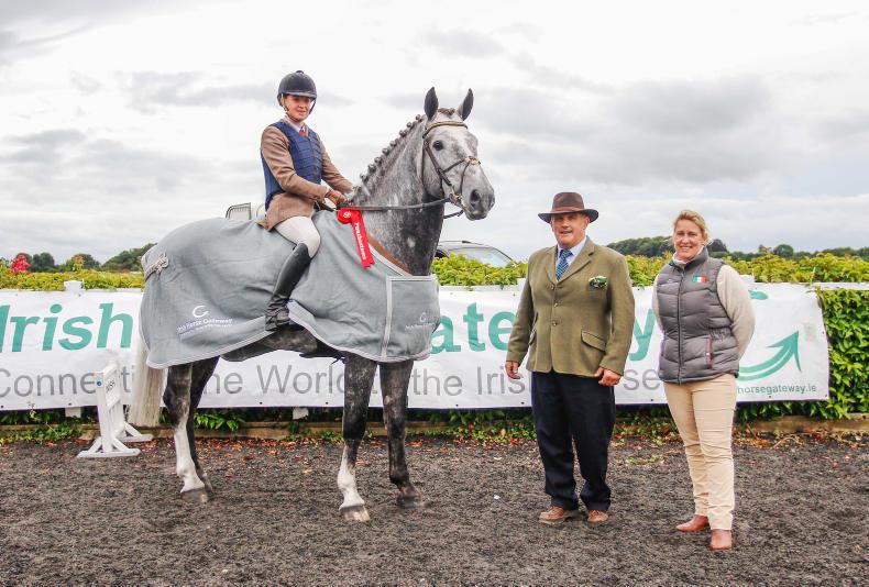 Strictly Come Bouncing reigns supreme Strictly Come Bouncing reigns supreme