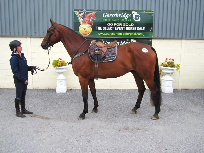 Impressive Pacino son tops sale at €16,000 Impressive Pacino son tops sale at €16,000