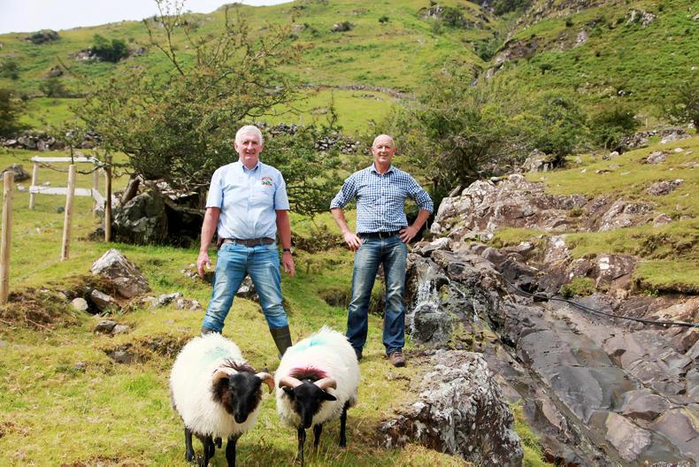 Consumer-Geographical Indicators-the next step for Ireland Consumer-Geographical Indicators-the next step for Ireland