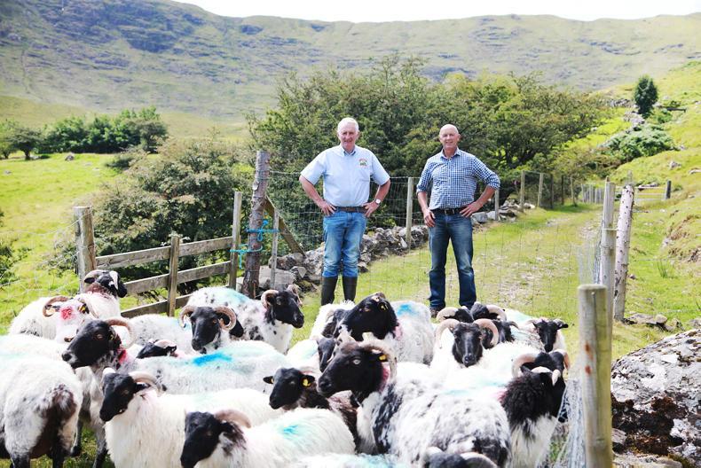 Consumer-Geographical Indicators-the next step for Ireland Consumer-Geographical Indicators-the next step for Ireland