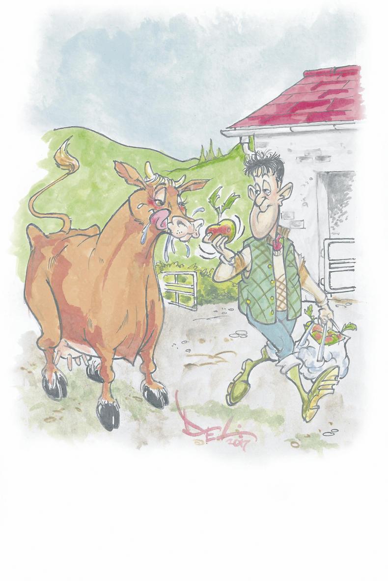 New noise for a new beginning New noise for a new beginning