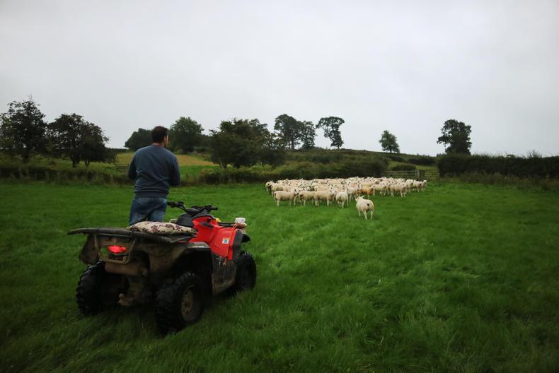 The Ettrick Texel flock and talking all things Texel The Ettrick Texel flock and talking all things Texel