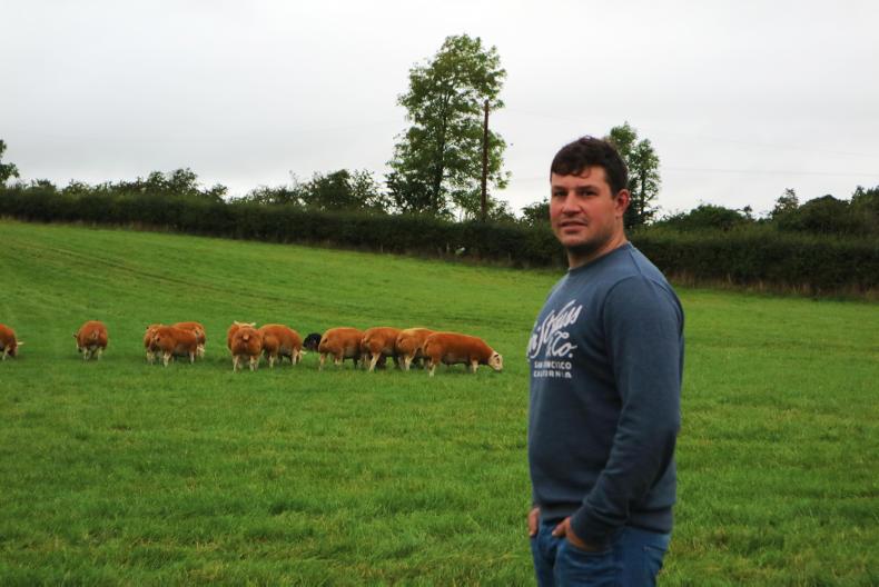 The Ettrick Texel flock and talking all things Texel The Ettrick Texel flock and talking all things Texel