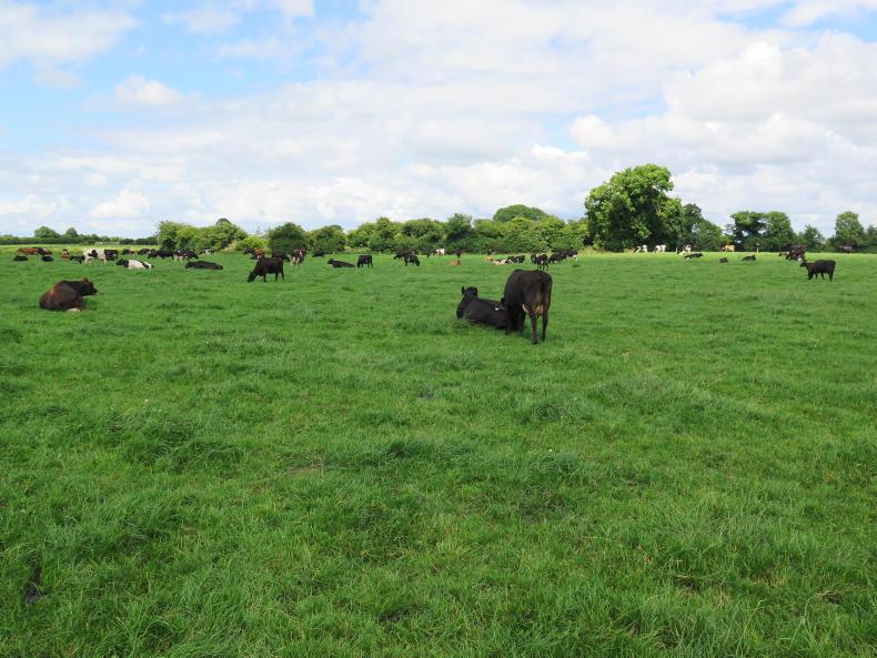 What's on from Thursday 28 September 2017 What's on from Thursday 28 September 2017