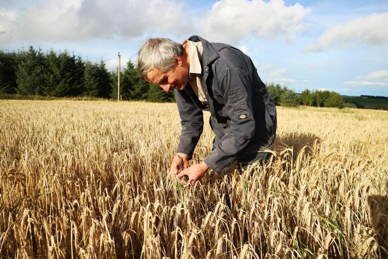 Waste not, want not for the Presleys at Wardford Waste not, want not for the Presleys at Wardford