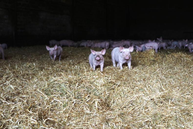 Waste not, want not for the Presleys at Wardford Waste not, want not for the Presleys at Wardford