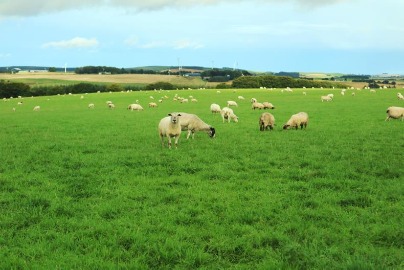 Waste not, want not for the Presleys at Wardford Waste not, want not for the Presleys at Wardford