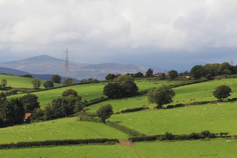 Green lobby outlines case for farm support post-Brexit Green lobby outlines case for farm support post-Brexit