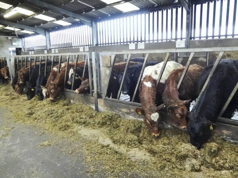 Take action if short of silage Take action if short of silage