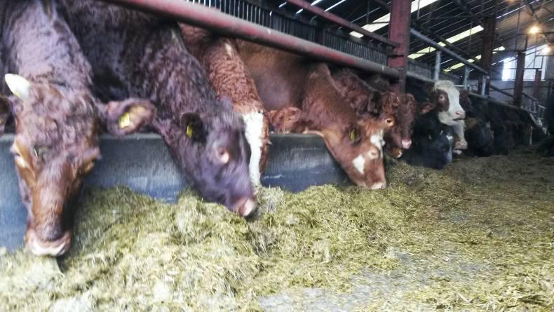 Take action if short of silage Take action if short of silage