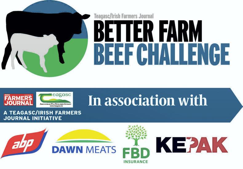 Watch: ‘soil fertility is in a shockingly poor state’
Watch: ‘soil fertility is in a shockingly poor state’