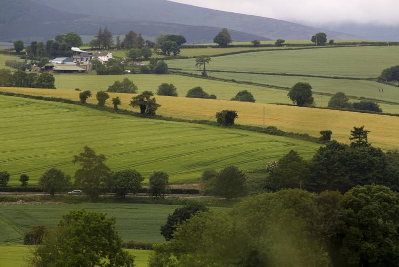 IFA: significant BPS payment vital IFA: significant BPS payment vital