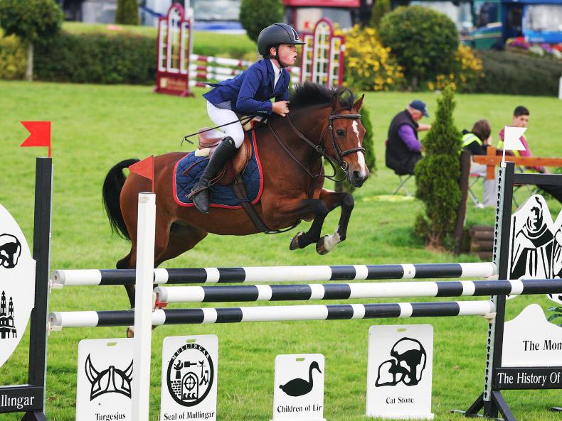 New stud book adding value to Irish ponies New stud book adding value to Irish ponies