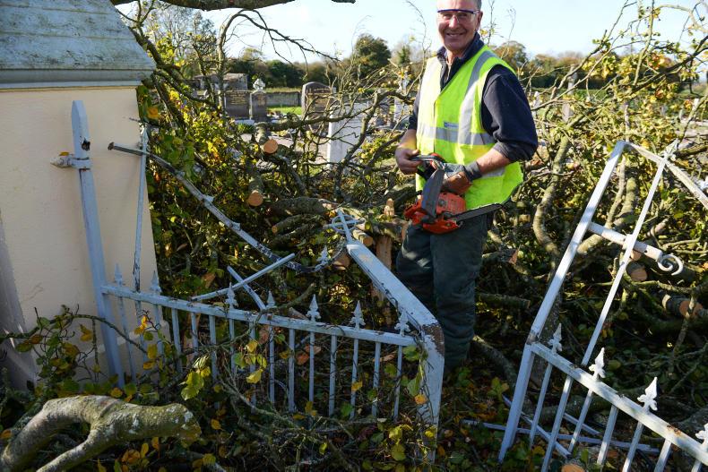 Irish Farmers Journal nightly news: 70% advance payments and Ophelia hits farms Irish Farmers Journal nightly news: 70% advance payments and Ophelia hits farms