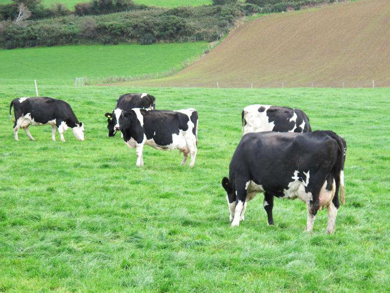 Bonus improves Glanbia and Fivemiletown milk price Bonus improves Glanbia and Fivemiletown milk price