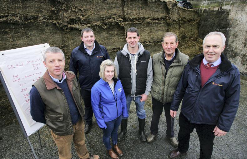 Good milk price but limited fodder Good milk price but limited fodder