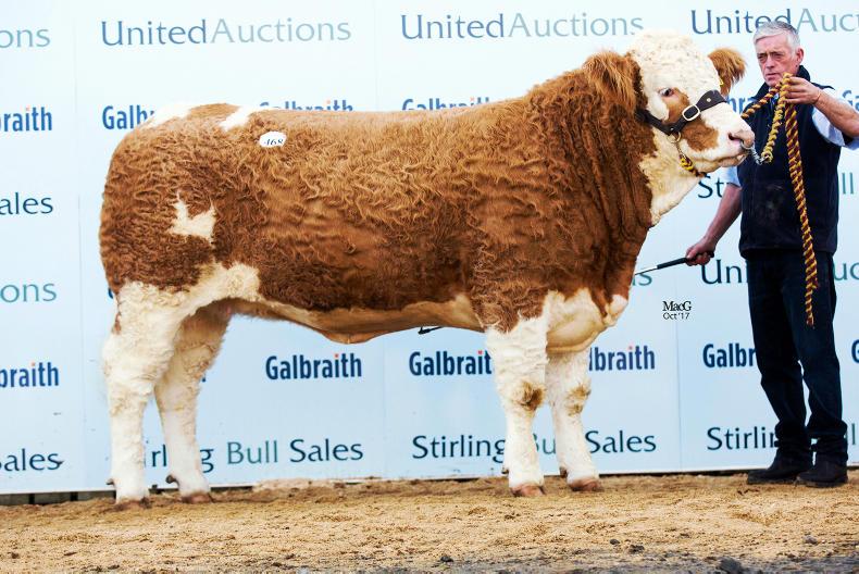 Stirling sale-topper heads to Ireland Stirling sale-topper heads to Ireland