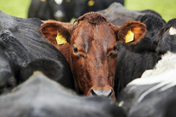 What's on from Friday 3 November 2017 What's on from Friday 3 November 2017