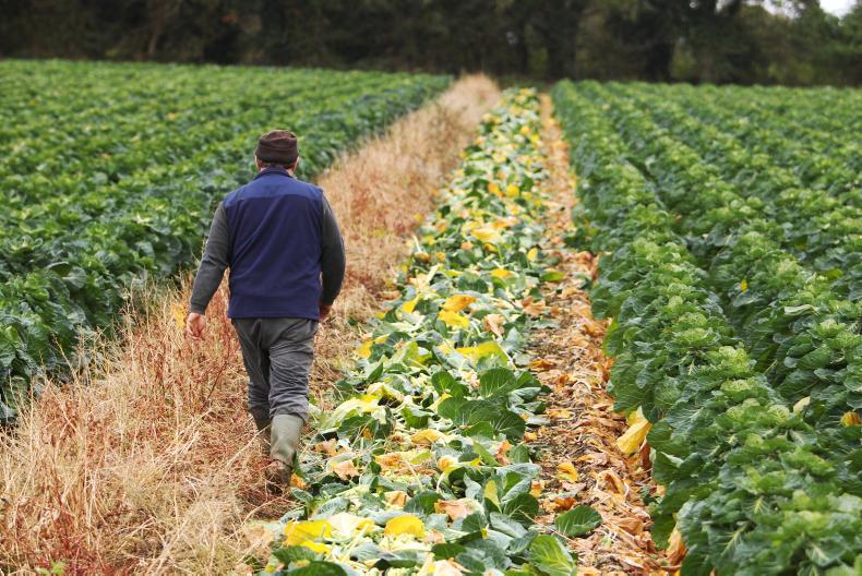 Agri jobs: 200-cow dairy farm manager, grassland scientists and pig farm workers Agri jobs: 200-cow dairy farm manager, grassland scientists and pig farm workers