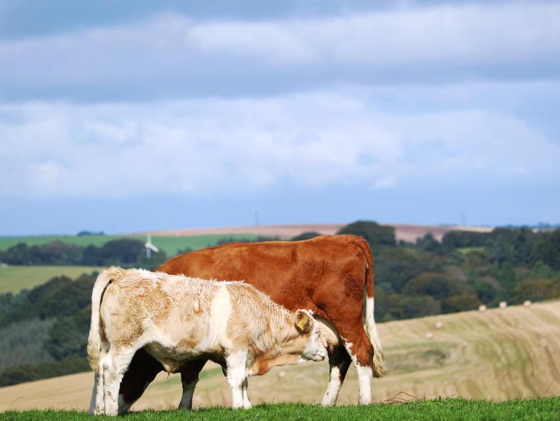 Farm Profit Programme: Reflecting on one year, planning for the next at Arnage Farm Profit Programme: Reflecting on one year, planning for the next at Arnage