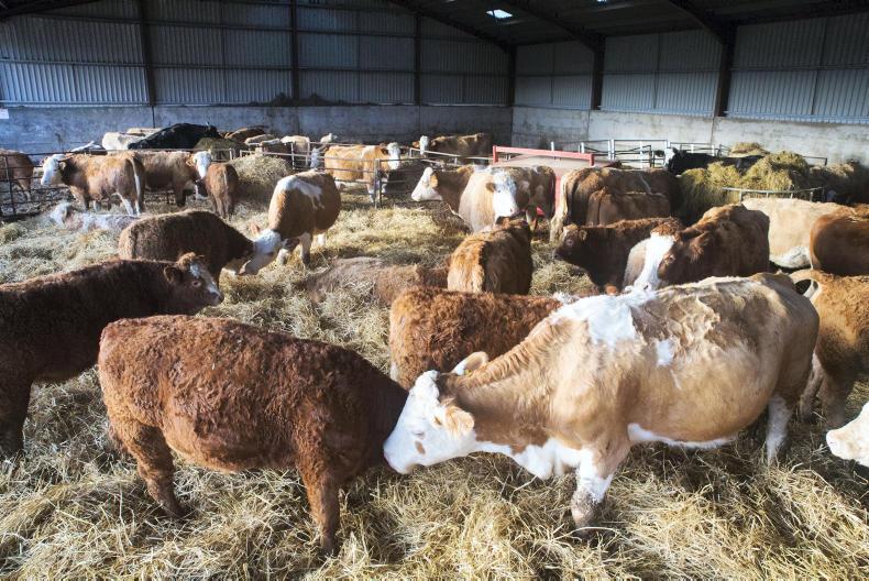 Farm Profit Programme: Reflecting on one year, planning for the next at Arnage Farm Profit Programme: Reflecting on one year, planning for the next at Arnage