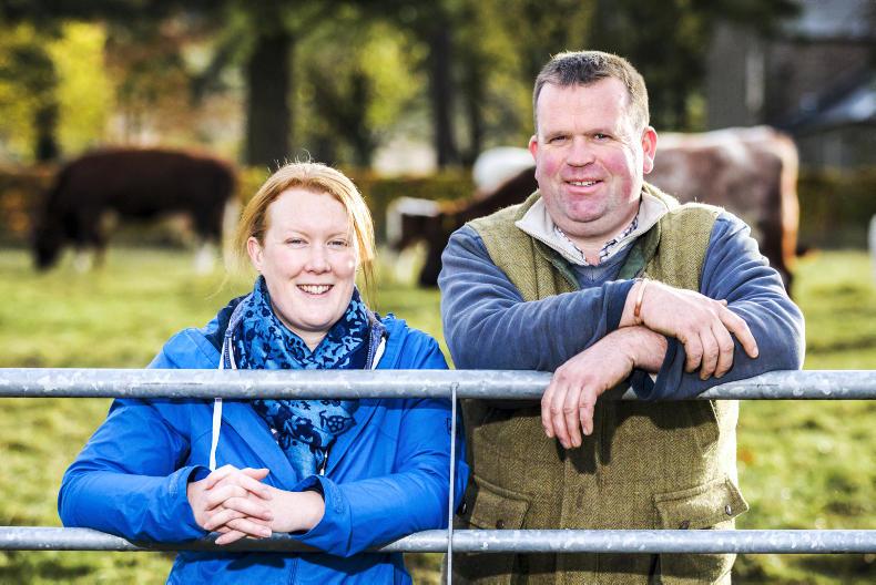 Navigating the Irish Sea and an entry into pedigree breeding Navigating the Irish Sea and an entry into pedigree breeding