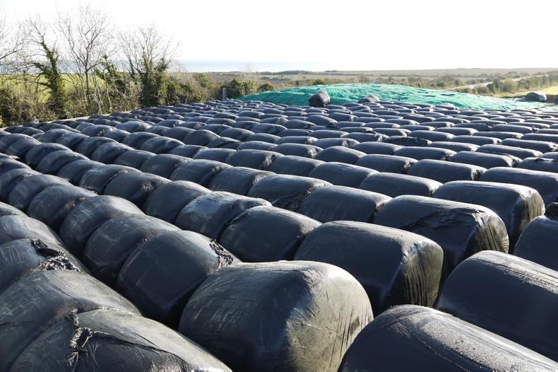 Watch: making a business out of baling maize Watch: making a business out of baling maize