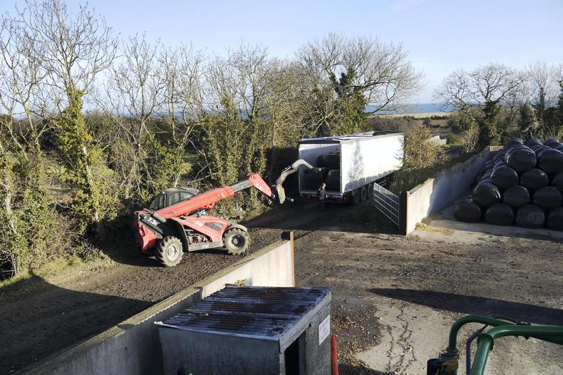 Watch: making a business out of baling maize Watch: making a business out of baling maize