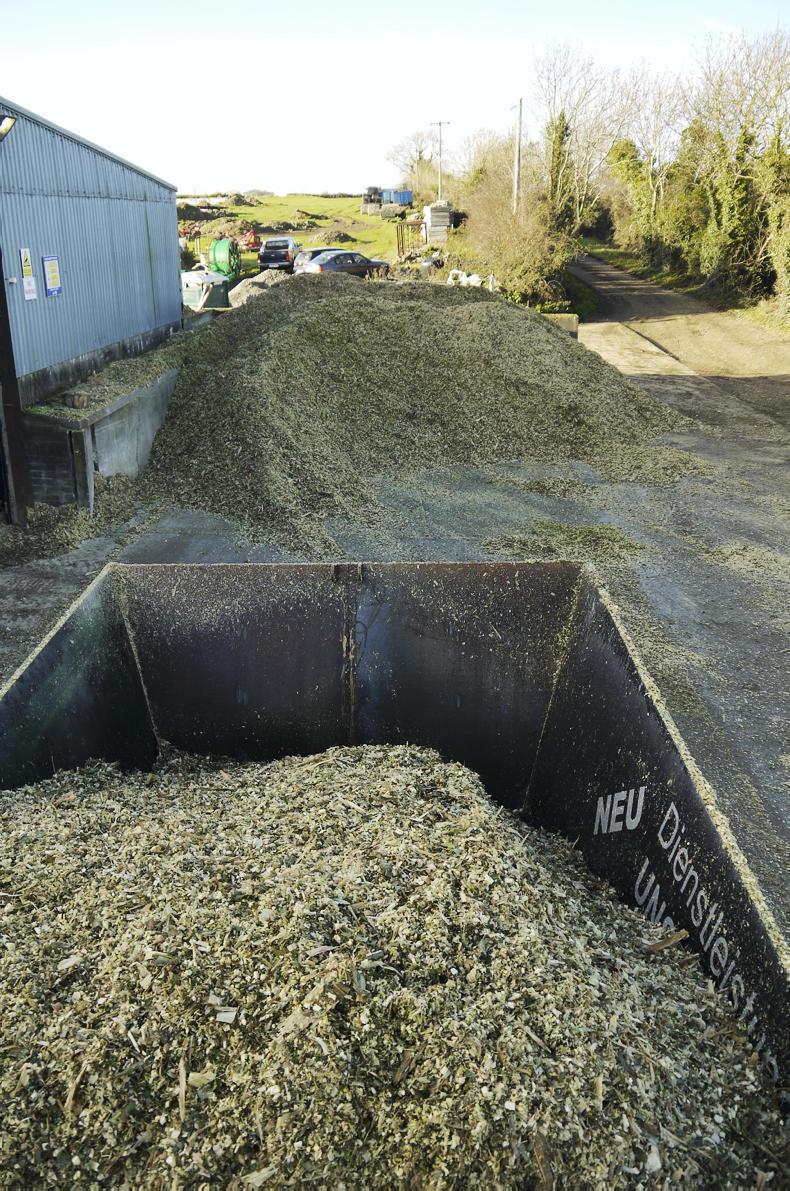 Watch: making a business out of baling maize Watch: making a business out of baling maize