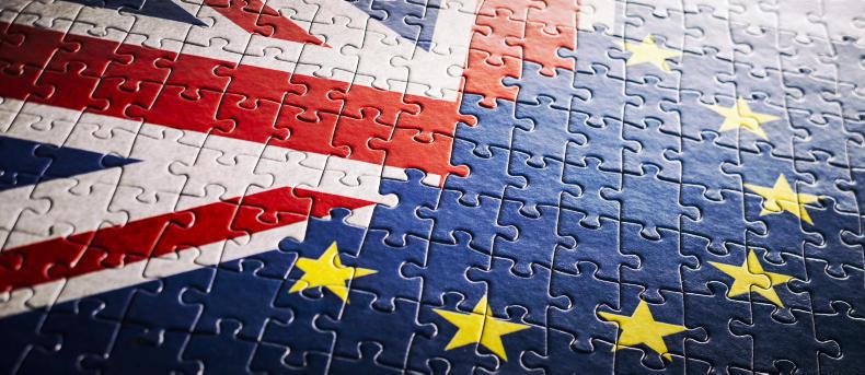 Brexit will cause meat trade collapse Brexit will cause meat trade collapse