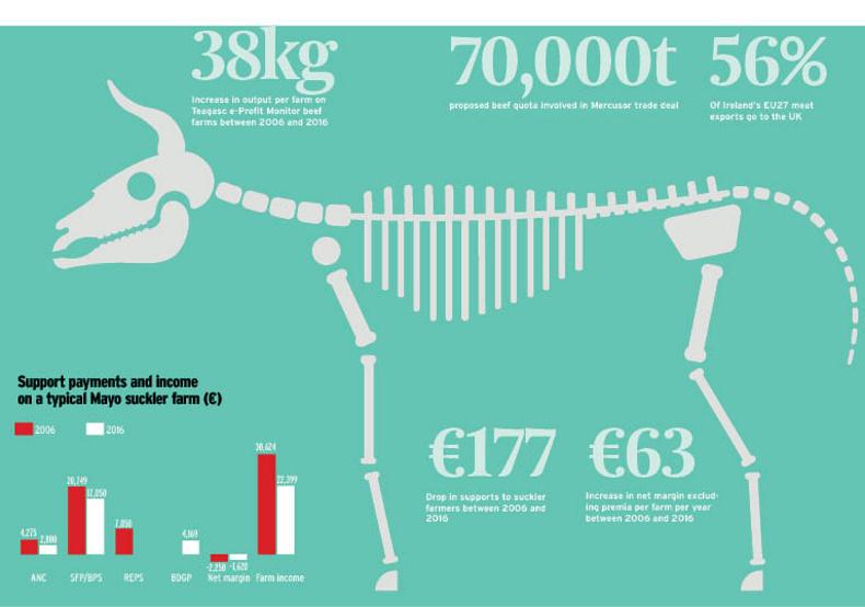 Is the writing on the wall for the Irish suckler cow? Is the writing on the wall for the Irish suckler cow?