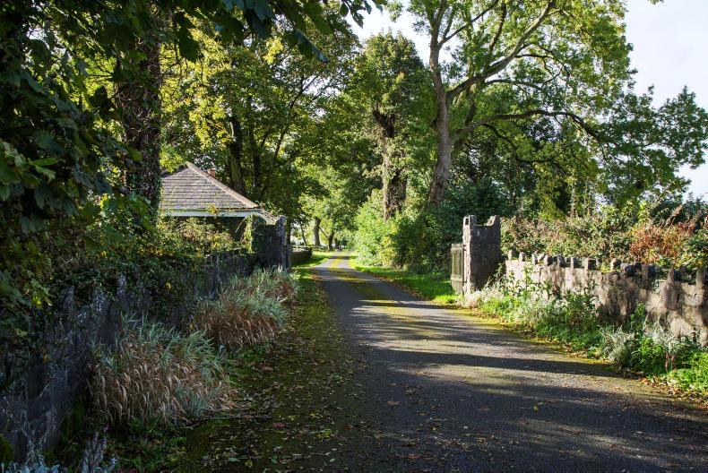 In pictures: three beef farms for €1m In pictures: three beef farms for €1m