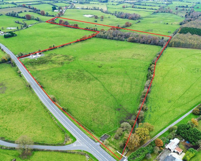 In pictures: three beef farms for €1m In pictures: three beef farms for €1m