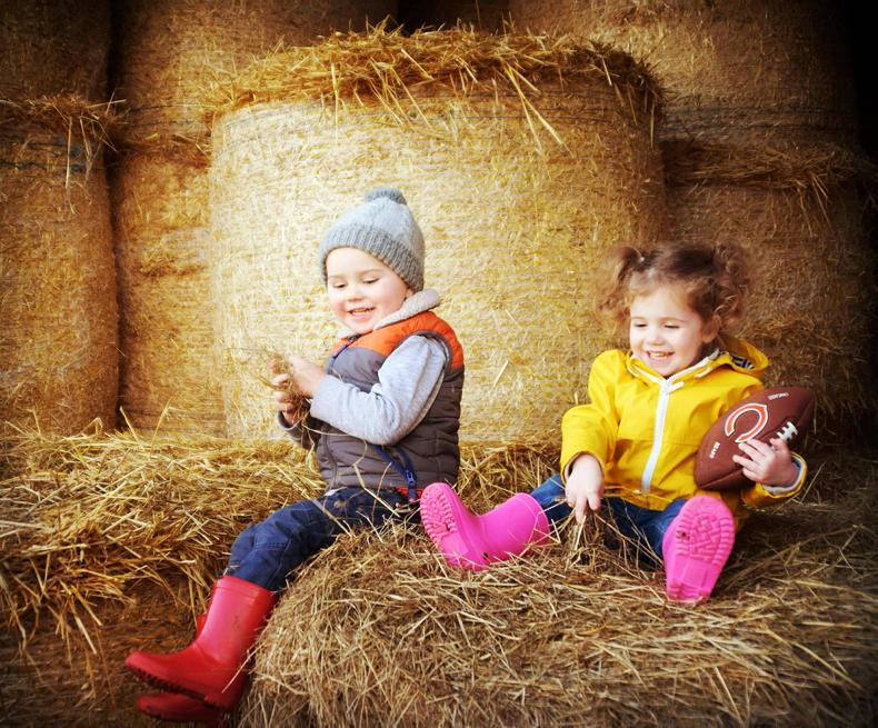 Picture-perfect snapshots of country living Picture-perfect snapshots of country living