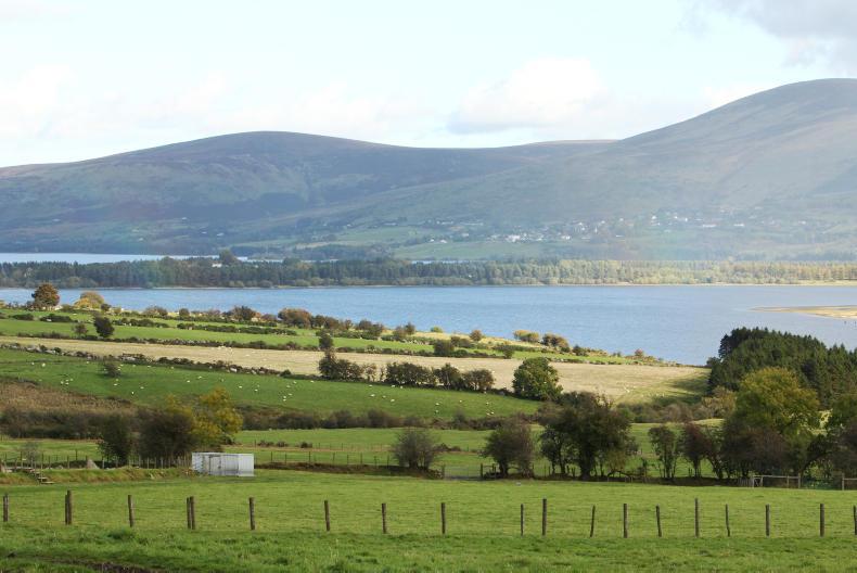 Who was buying land near you in 2017? Who was buying land near you in 2017?