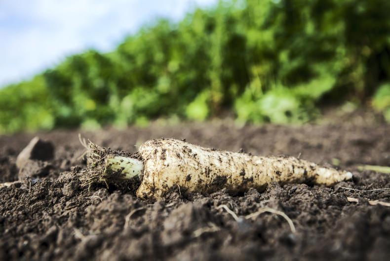 Migrant labour crisis hits Migrant labour crisis hits