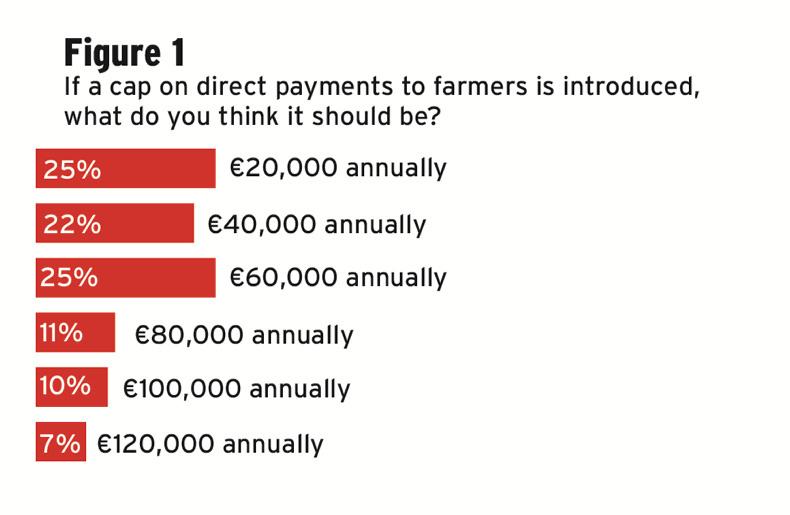 Poll result: one in four votes for €20,000 limit on farm payments Poll result: one in four votes for €20,000 limit on farm payments