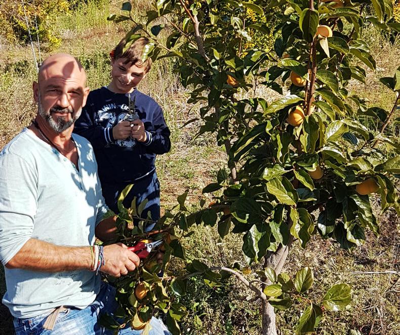 Taxing times – austerity grips Greek agriculture Taxing times – austerity grips Greek agriculture