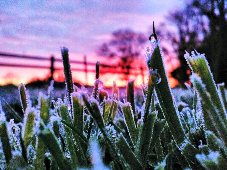 DON'T MISS your FREE 2018 calendar inside this week's Irish Farmers Journal DON'T MISS your FREE 2018 calendar inside this week's Irish Farmers Journal